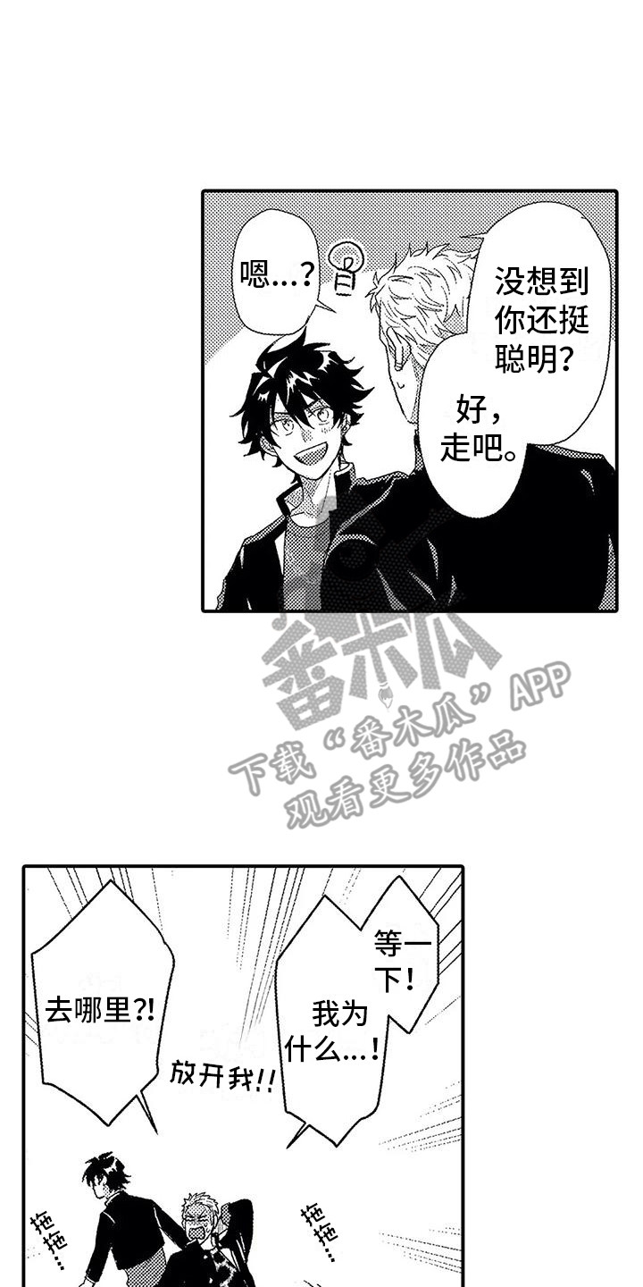 《温柔霸主》漫画最新章节第11章：过度溺爱免费下拉式在线观看章节第【2】张图片