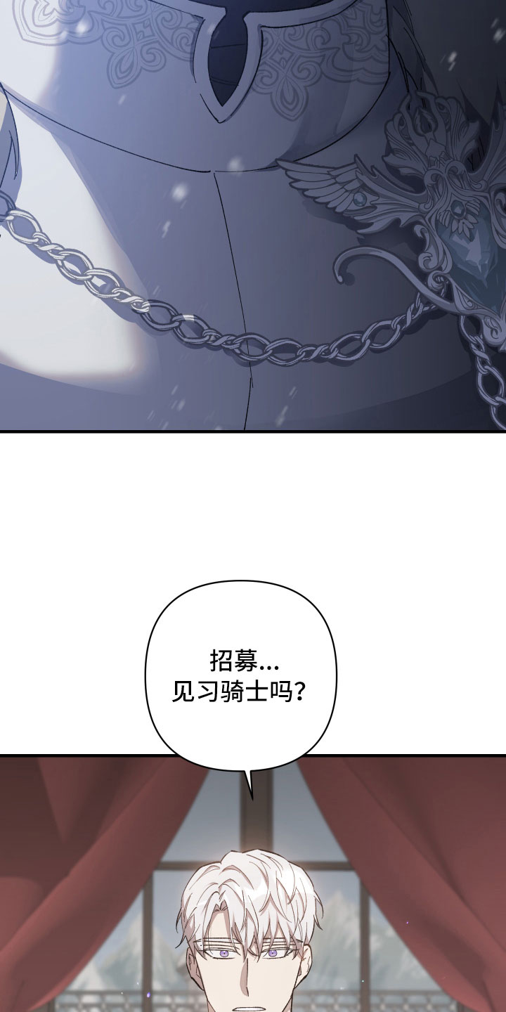 《黑白奏曲》漫画最新章节第1章：见习骑士招募免费下拉式在线观看章节第【21】张图片