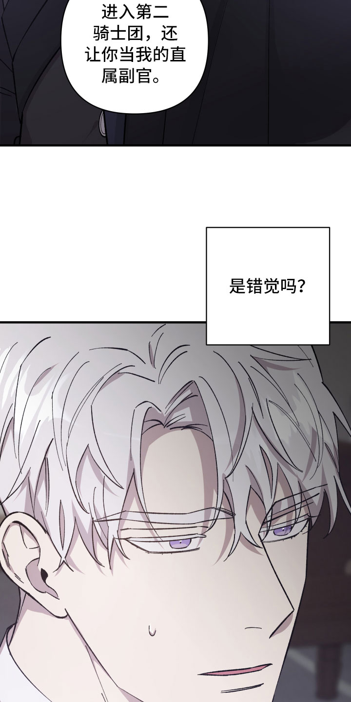 《黑白奏曲》漫画最新章节第2章：私生子免费下拉式在线观看章节第【5】张图片