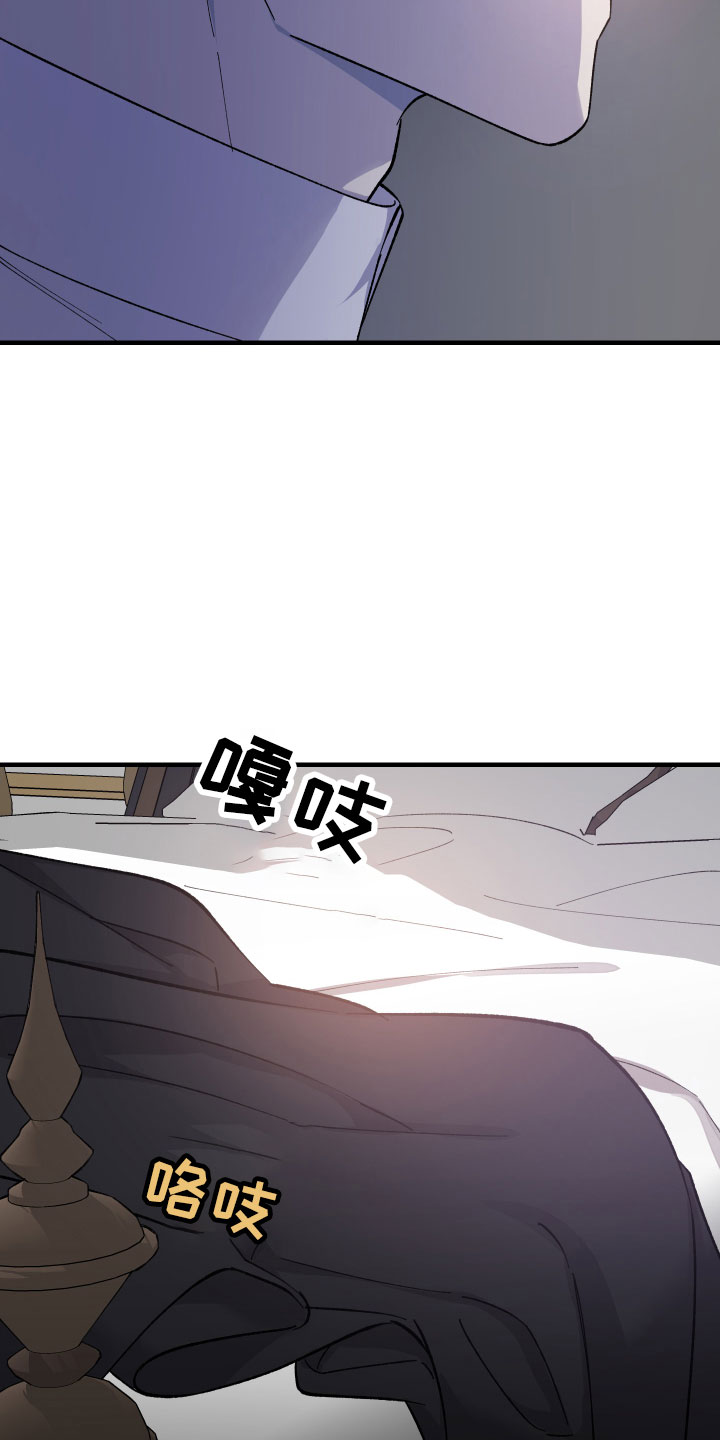 《黑白奏曲》漫画最新章节第3章：团长的秘密免费下拉式在线观看章节第【6】张图片