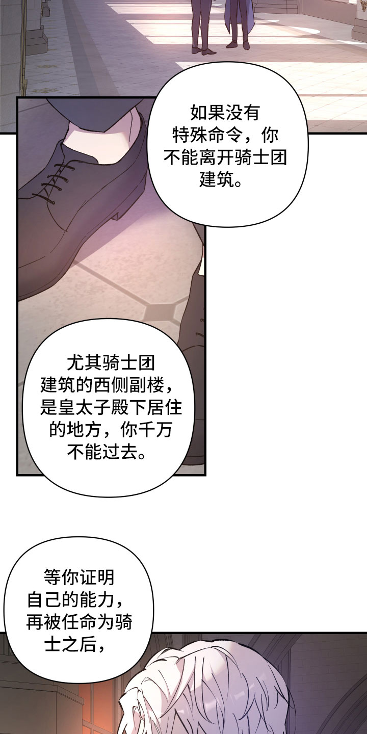 《黑白奏曲》漫画最新章节第3章：团长的秘密免费下拉式在线观看章节第【22】张图片