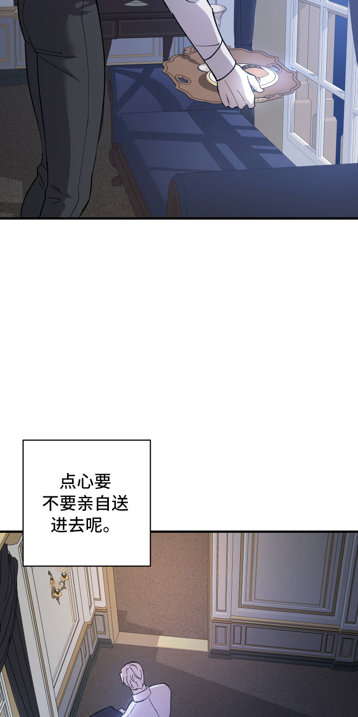 《黑白奏曲》漫画最新章节第3章：团长的秘密免费下拉式在线观看章节第【9】张图片