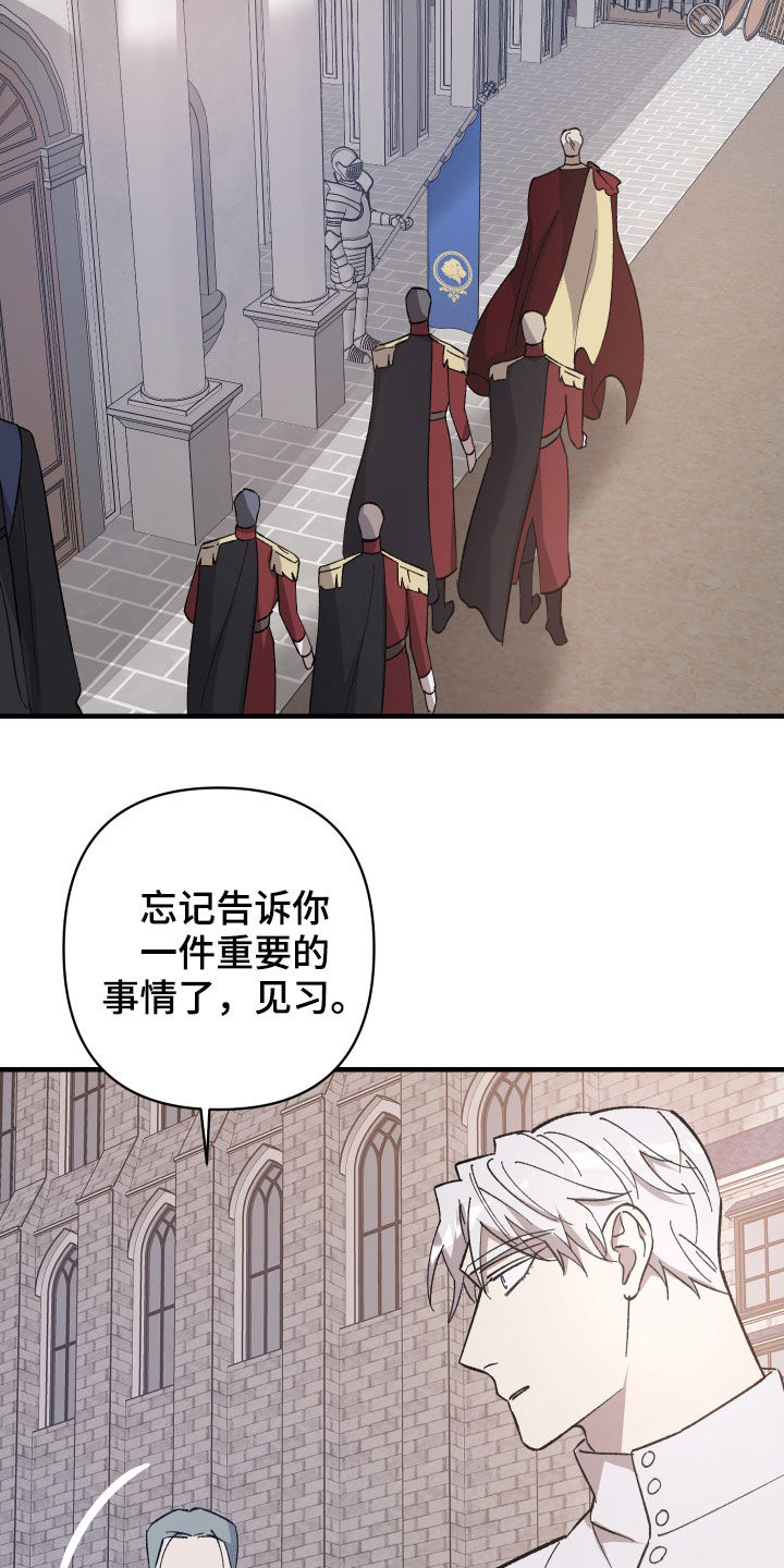 《黑白奏曲》漫画最新章节第13章：重要的事免费下拉式在线观看章节第【9】张图片