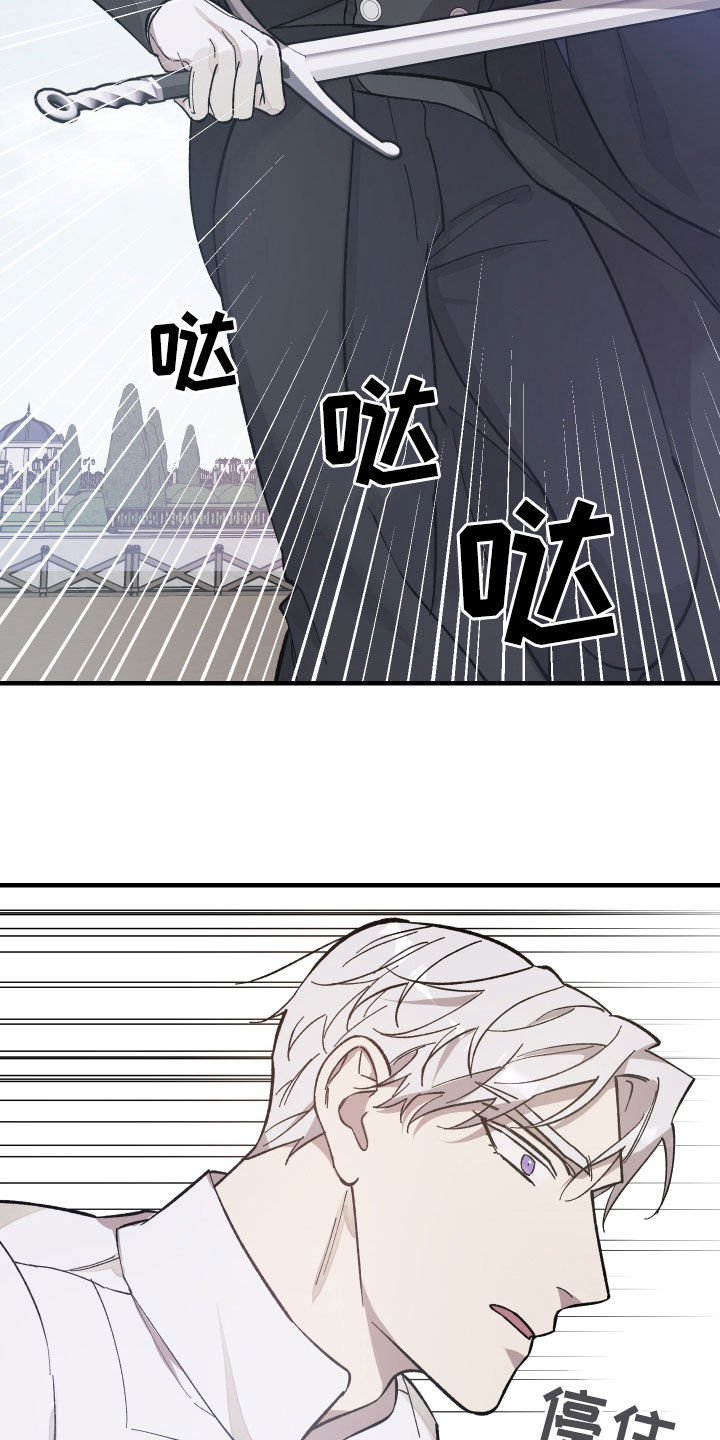 《黑白奏曲》漫画最新章节第22章：杀人技免费下拉式在线观看章节第【17】张图片