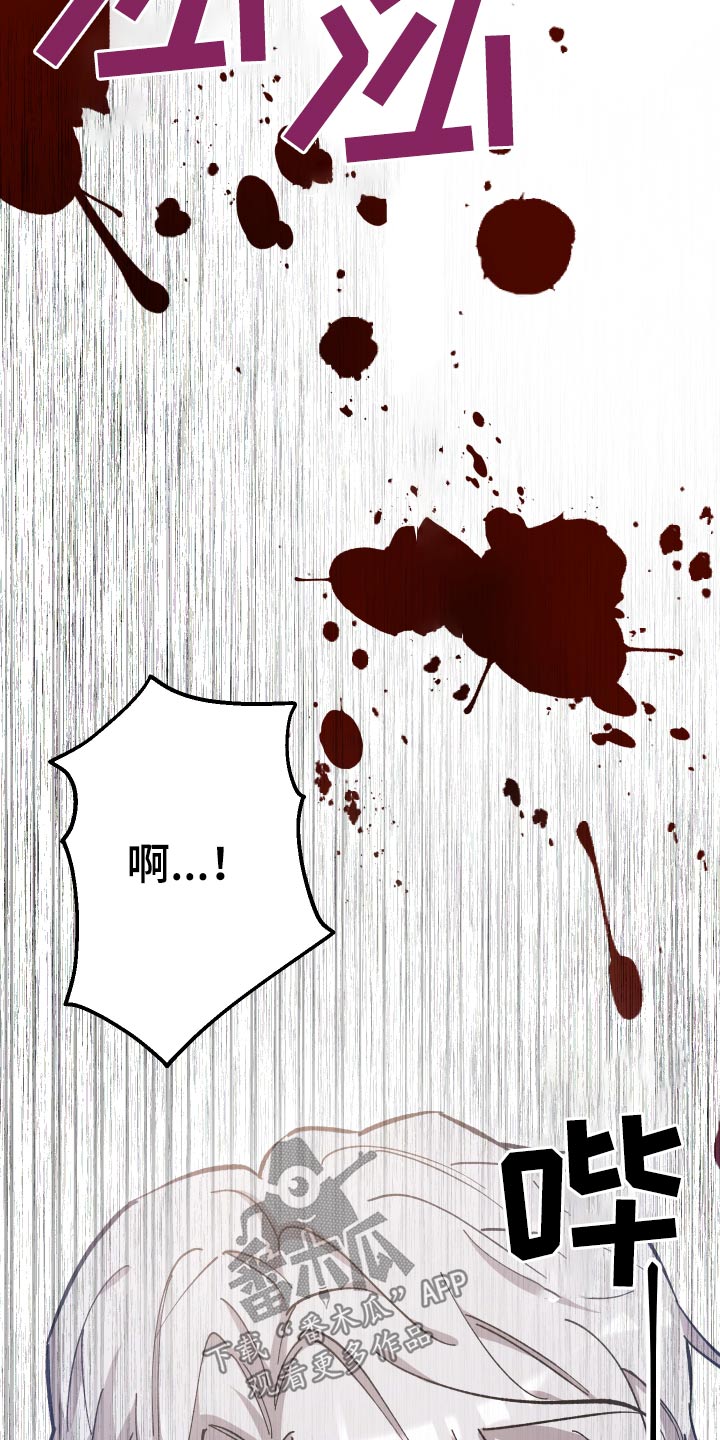 《黑白奏曲》漫画最新章节第33章：击杀免费下拉式在线观看章节第【11】张图片