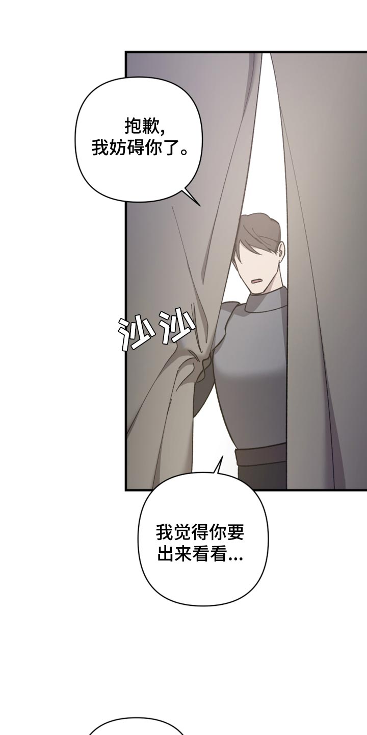 《黑白奏曲》漫画最新章节第41章：皇室的花纹免费下拉式在线观看章节第【13】张图片