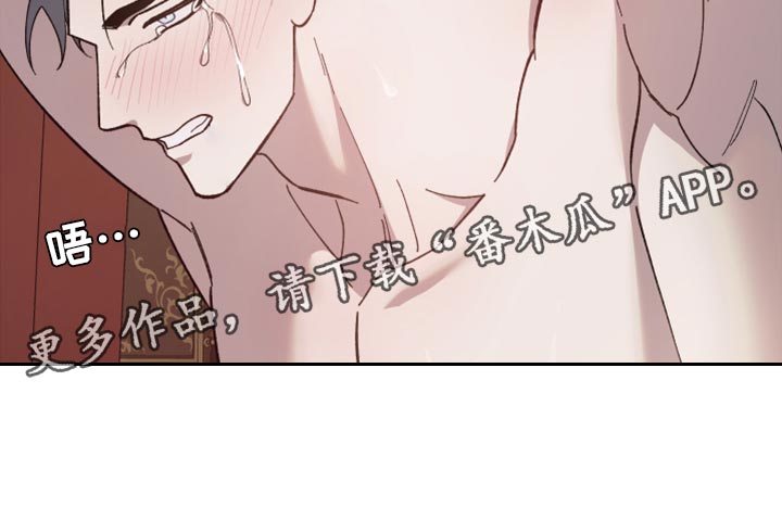 《黑白奏曲》漫画最新章节第46章：是你自找的免费下拉式在线观看章节第【1】张图片