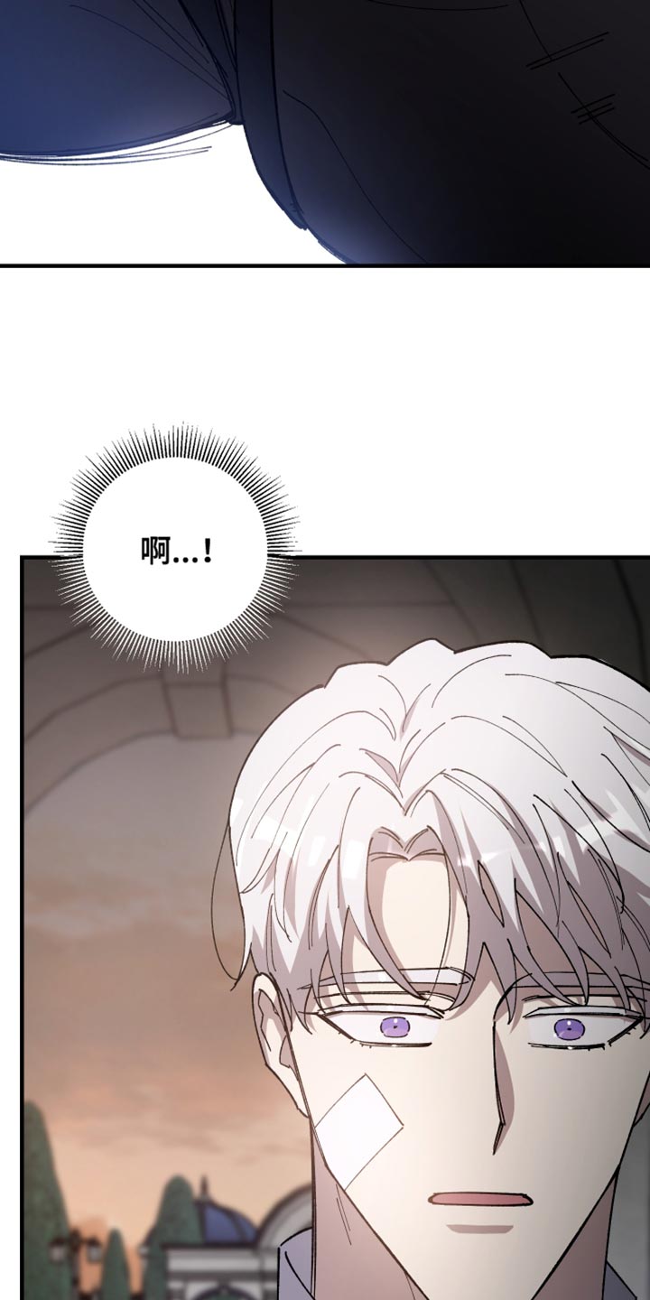 《黑白奏曲》漫画最新章节第65章：【第二季】还以为是担心我免费下拉式在线观看章节第【24】张图片