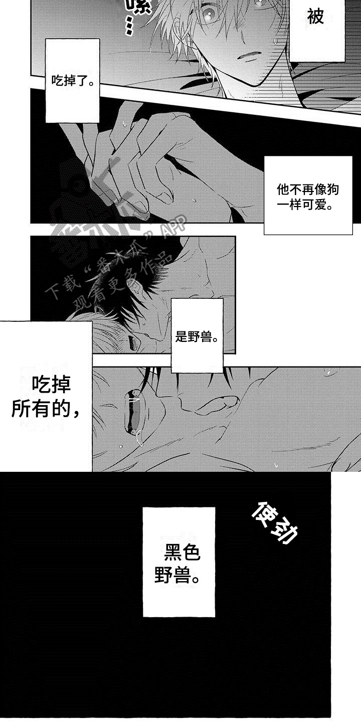 《主人和狗》漫画最新章节第13章：只属于我免费下拉式在线观看章节第【5】张图片