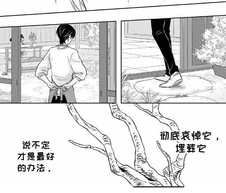 《不见凋零》漫画最新章节第3章：谢礼免费下拉式在线观看章节第【1】张图片