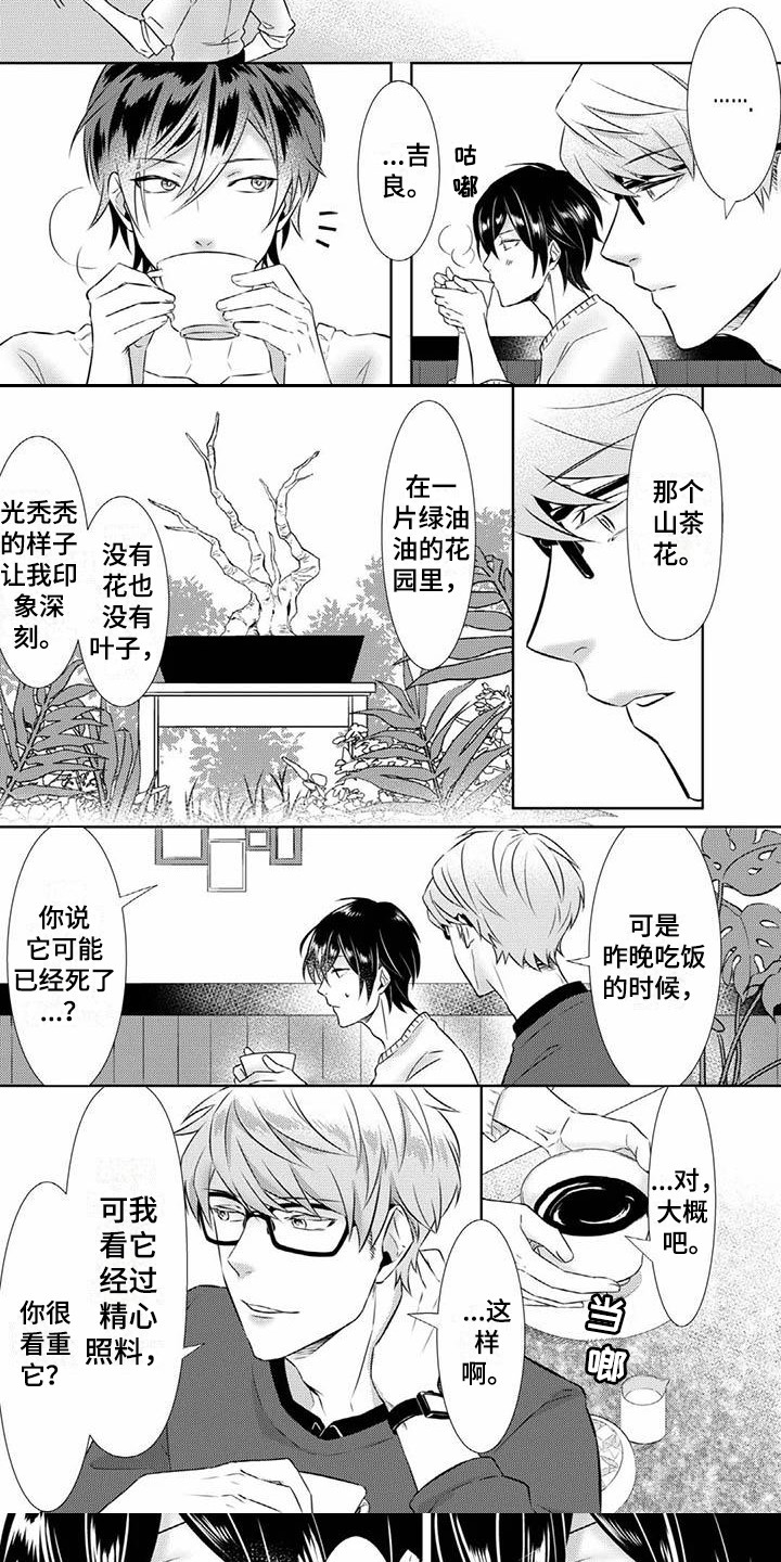 《不见凋零》漫画最新章节第3章：谢礼免费下拉式在线观看章节第【3】张图片