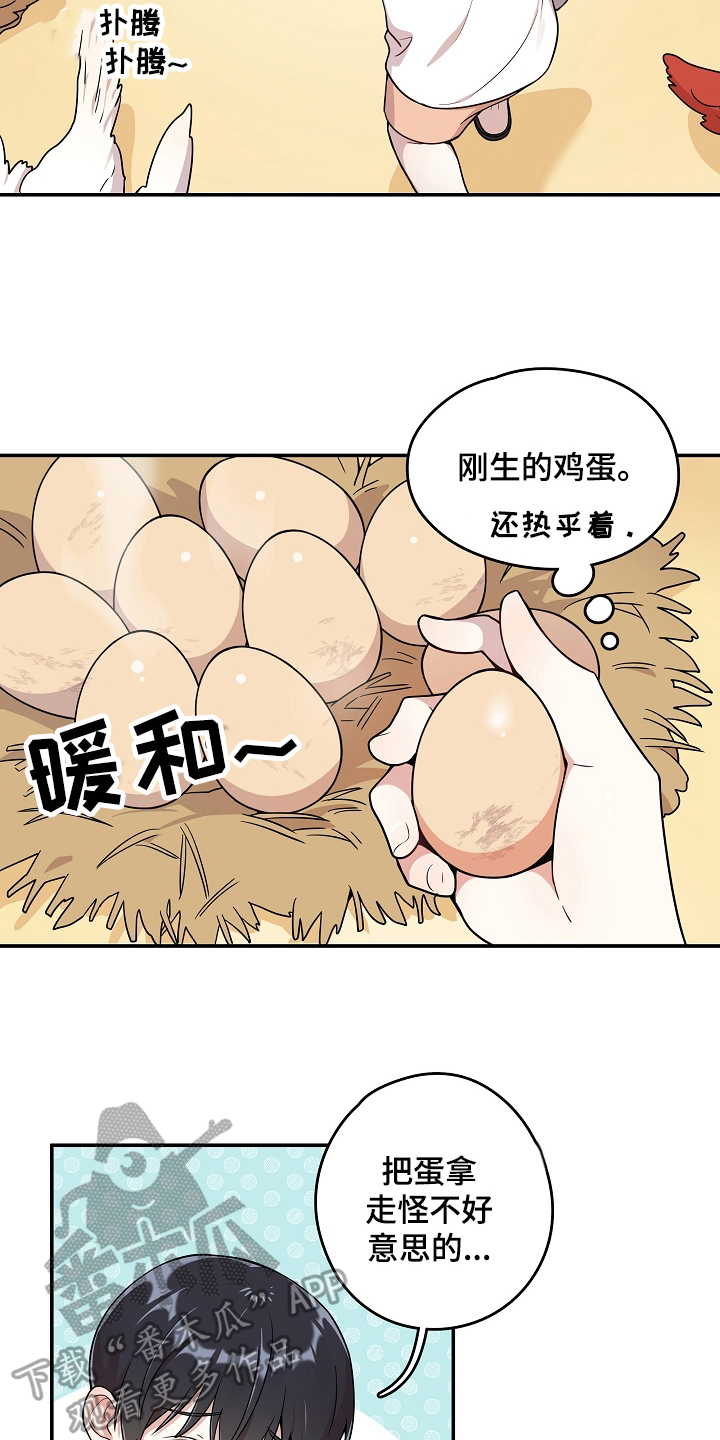 《社死进行时》漫画最新章节第7章：掏鸡蛋免费下拉式在线观看章节第【7】张图片