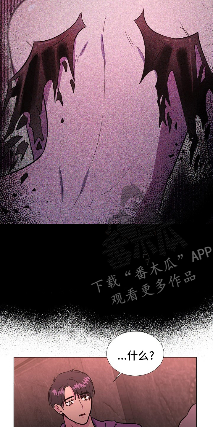 《爱的魔力》漫画最新章节第62章：选择免费下拉式在线观看章节第【10】张图片