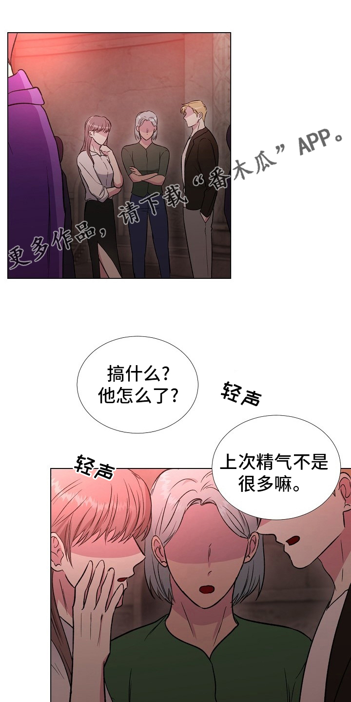 《爱的魔力》漫画最新章节第62章：选择免费下拉式在线观看章节第【22】张图片