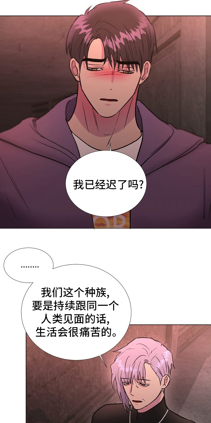 《爱的魔力》漫画最新章节第62章：选择免费下拉式在线观看章节第【13】张图片