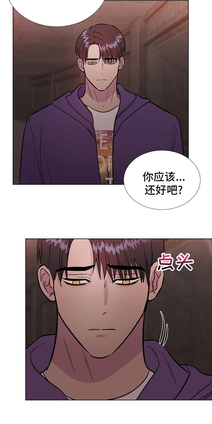 《爱的魔力》漫画最新章节第62章：选择免费下拉式在线观看章节第【17】张图片