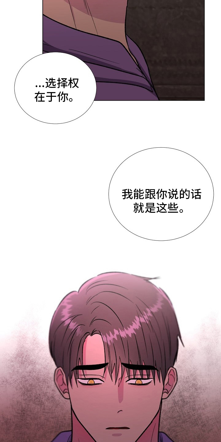 《爱的魔力》漫画最新章节第62章：选择免费下拉式在线观看章节第【5】张图片