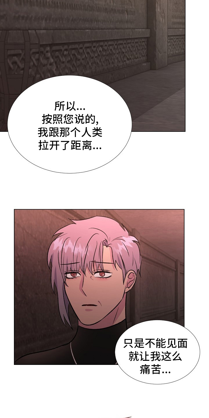 《爱的魔力》漫画最新章节第62章：选择免费下拉式在线观看章节第【14】张图片