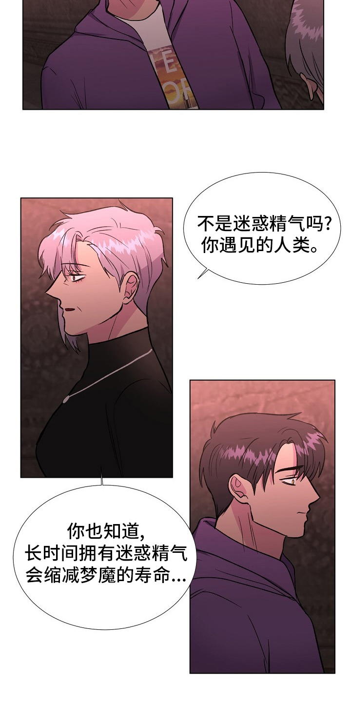 《爱的魔力》漫画最新章节第62章：选择免费下拉式在线观看章节第【9】张图片