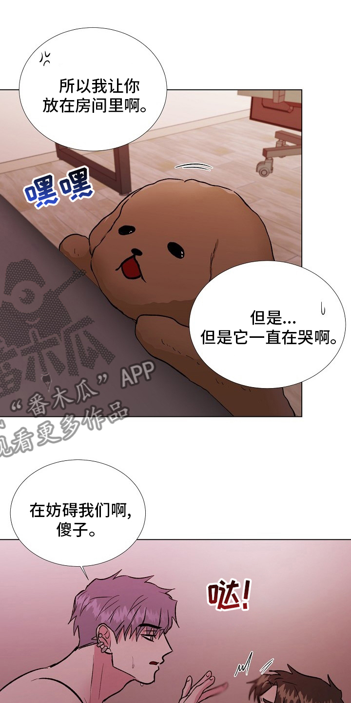 《爱的魔力》漫画最新章节第63章：来我家免费下拉式在线观看章节第【10】张图片