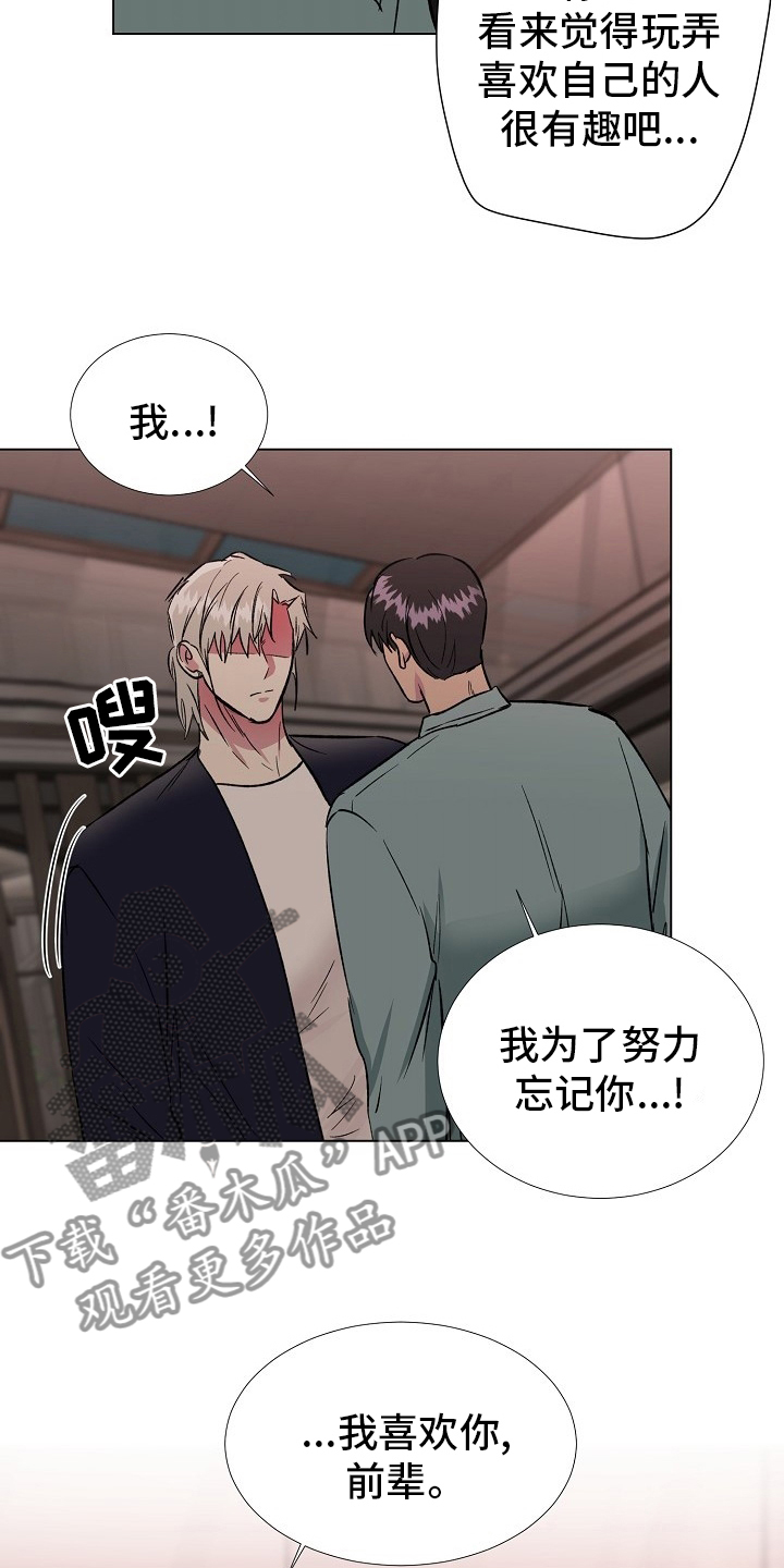 《爱的魔力》漫画最新章节第67章：只能是这样免费下拉式在线观看章节第【11】张图片