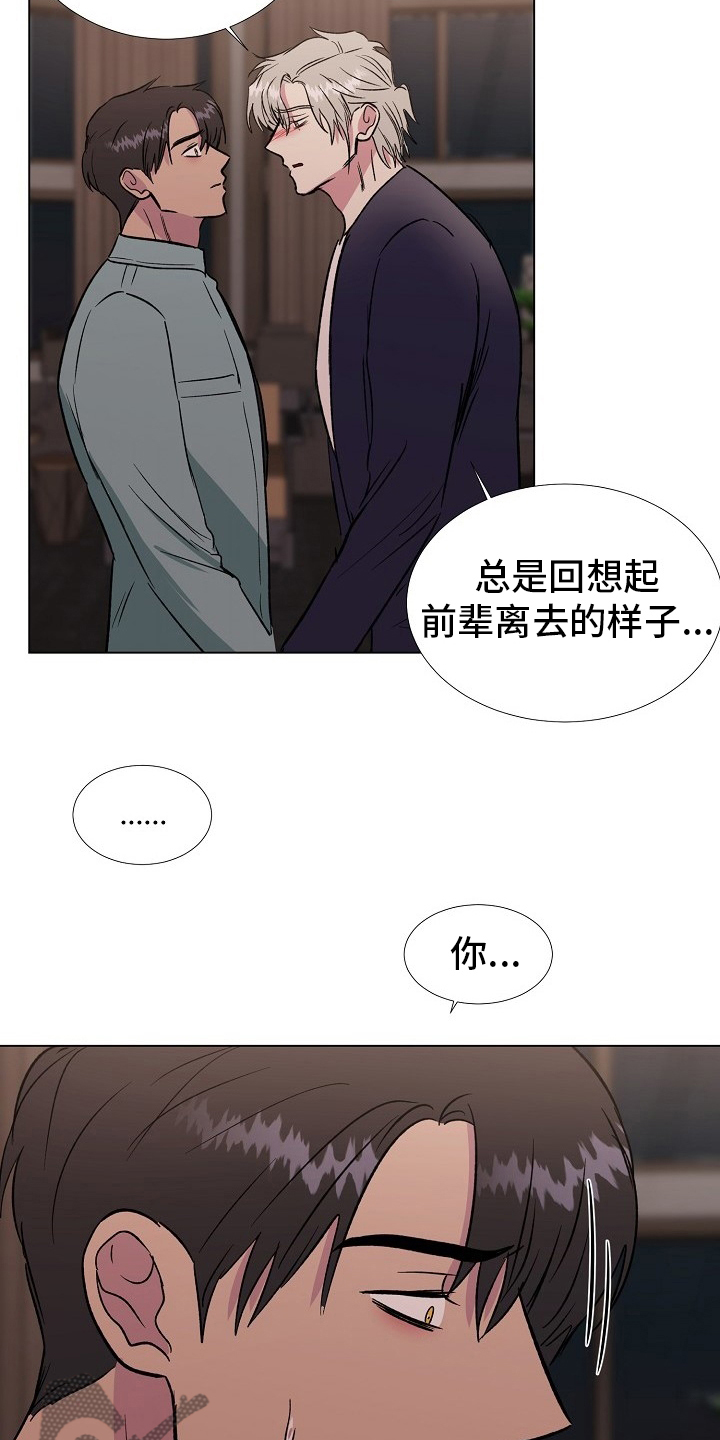 《爱的魔力》漫画最新章节第67章：只能是这样免费下拉式在线观看章节第【7】张图片