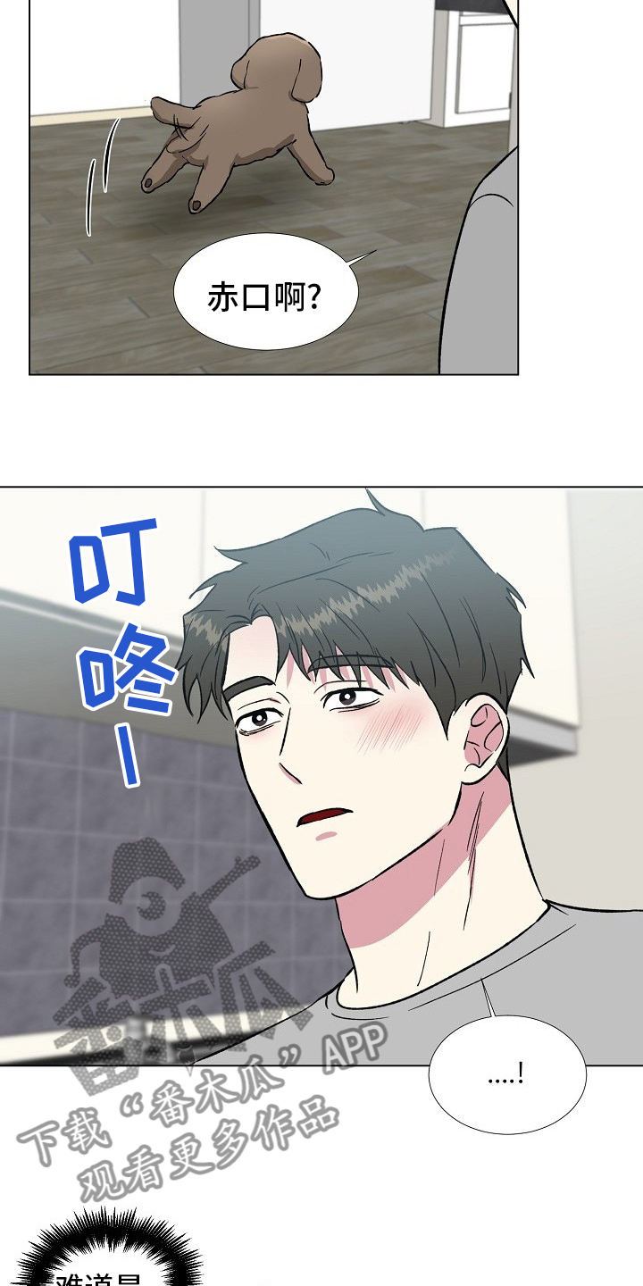 《爱的魔力》漫画最新章节第70章：过火免费下拉式在线观看章节第【14】张图片