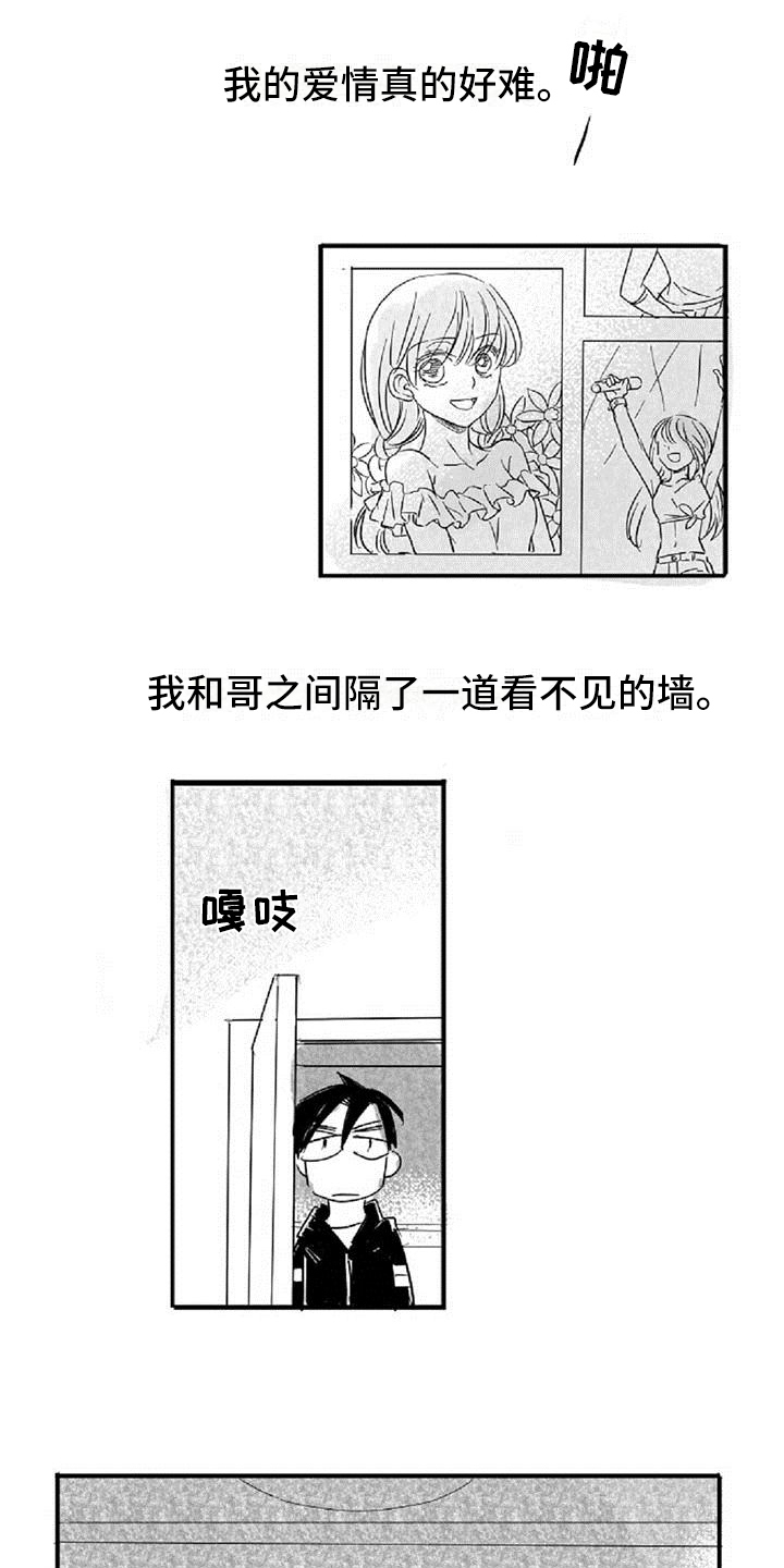 《爱上偶像宅》漫画最新章节第2章：差异免费下拉式在线观看章节第【3】张图片