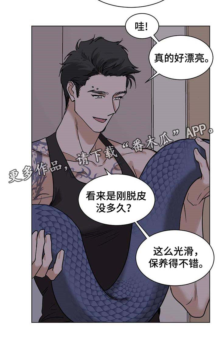 《化蛇》漫画最新章节第54章：误解免费下拉式在线观看章节第【1】张图片