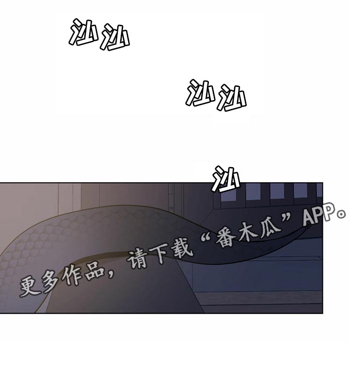 《化蛇》漫画最新章节第75章：像是在哪里见过免费下拉式在线观看章节第【1】张图片