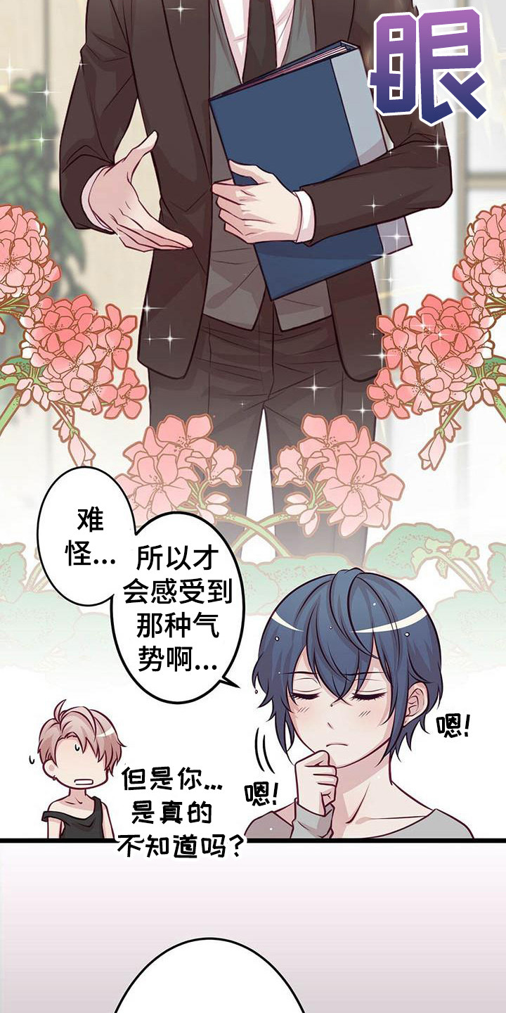 《爱豆新星》漫画最新章节第3章：偶像组合免费下拉式在线观看章节第【12】张图片