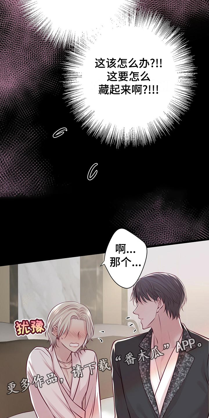 《爱豆新星》漫画最新章节第36章：教训免费下拉式在线观看章节第【14】张图片