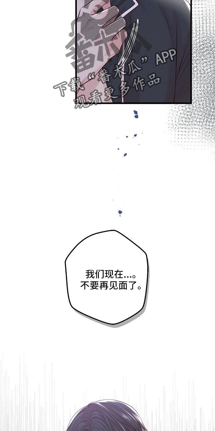 《爱豆新星》漫画最新章节第61章：不要见了免费下拉式在线观看章节第【4】张图片