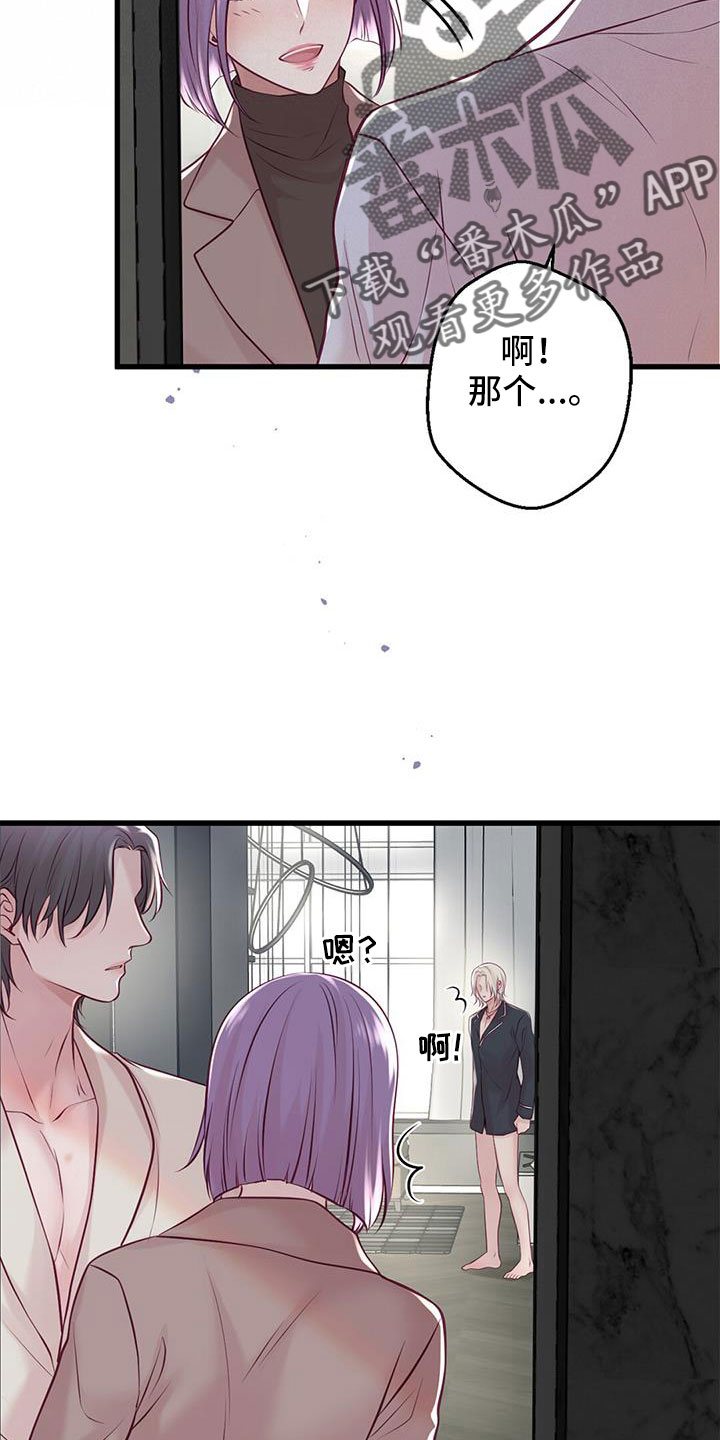 《爱豆新星》漫画最新章节第66章：表姐免费下拉式在线观看章节第【4】张图片