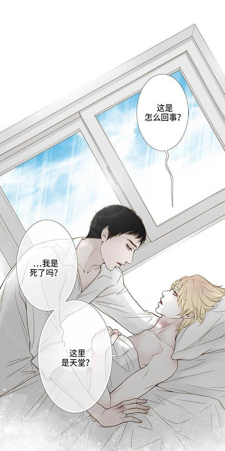 《美味佳肴》漫画最新章节第19章：照顾免费下拉式在线观看章节第【13】张图片