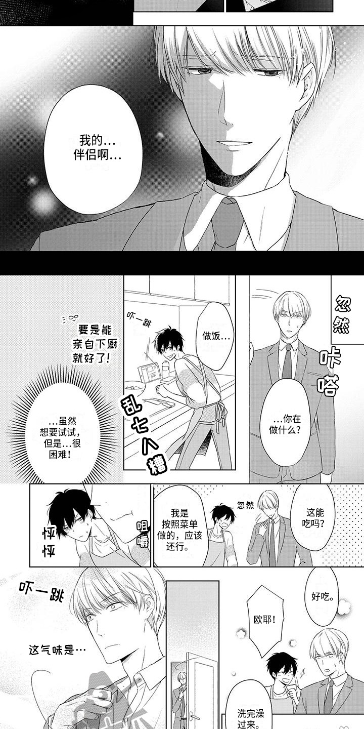 《稳定的关系》漫画最新章节第13章：我的伴侣免费下拉式在线观看章节第【5】张图片