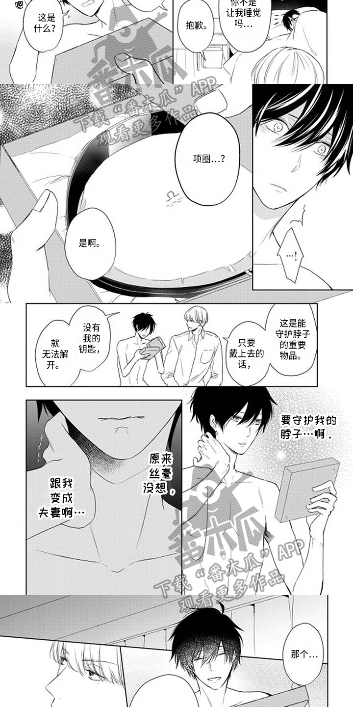 《稳定的关系》漫画最新章节第14章：项圈免费下拉式在线观看章节第【3】张图片