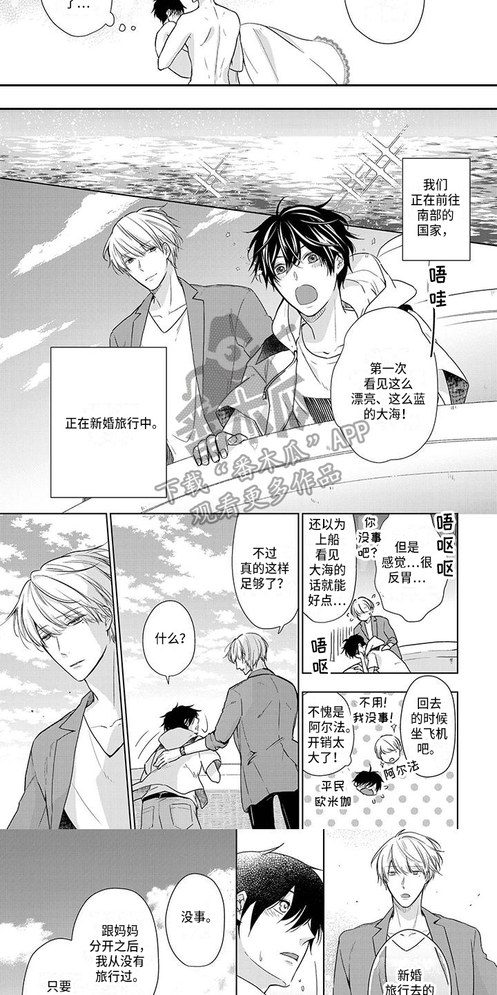 《稳定的关系》漫画最新章节第25章：新婚旅行免费下拉式在线观看章节第【2】张图片