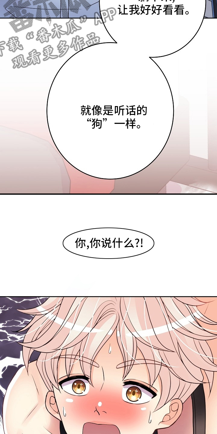 《被恶魔掌握》漫画最新章节第72章：做不到免费下拉式在线观看章节第【5】张图片