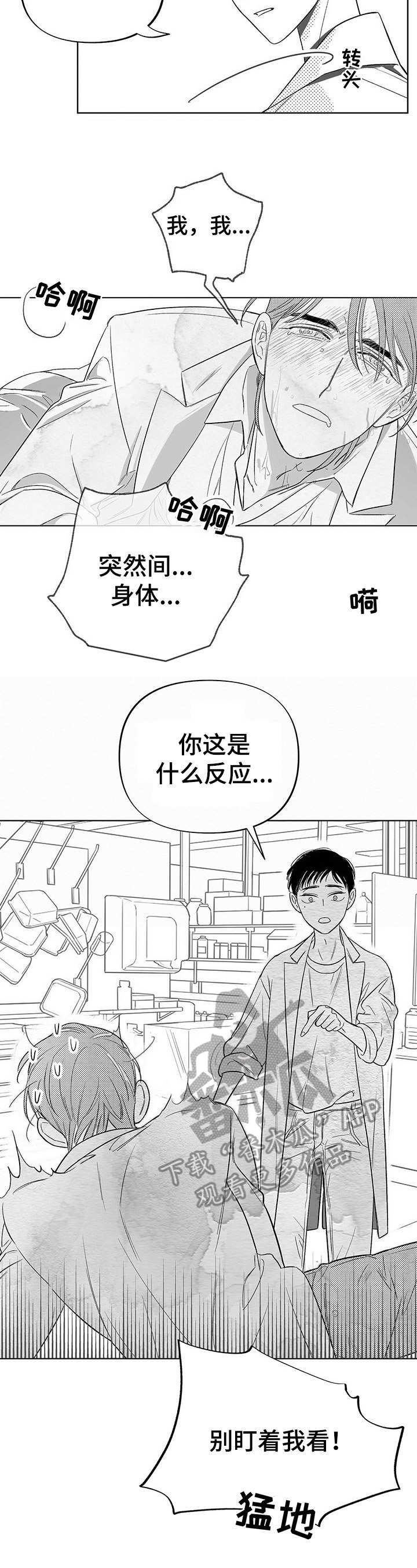 《身体效应》漫画最新章节第4章：昆虫免费下拉式在线观看章节第【1】张图片