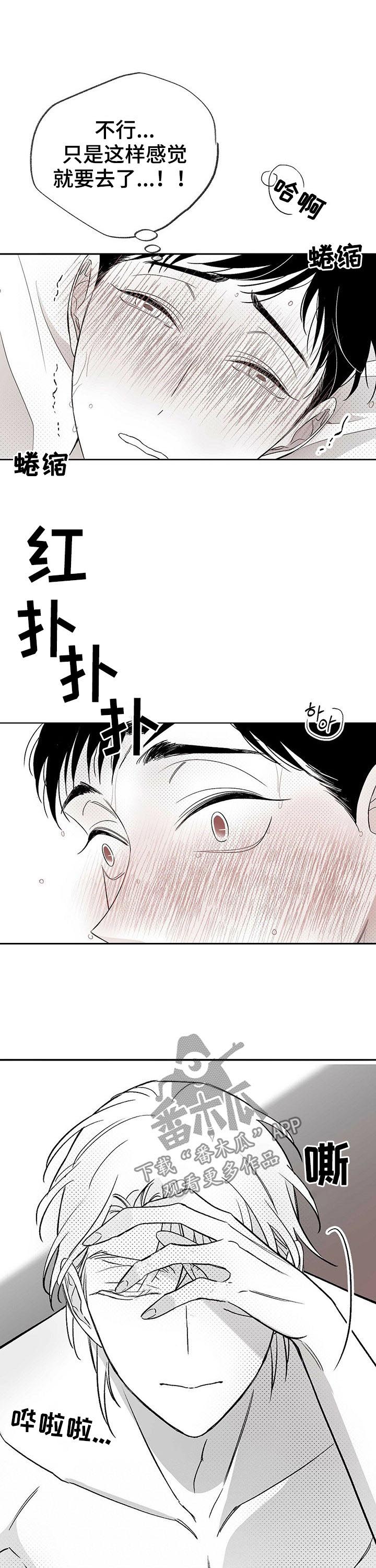 《身体效应》漫画最新章节第31章：拜托免费下拉式在线观看章节第【4】张图片