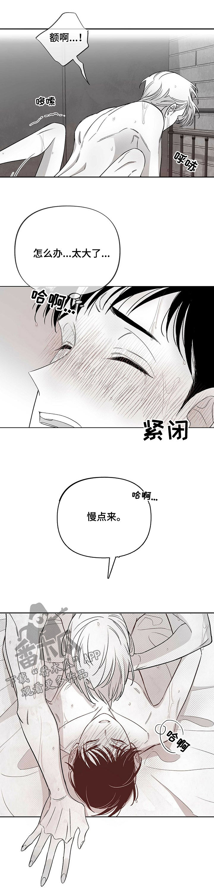 《身体效应》漫画最新章节第32章：就这么可惜？免费下拉式在线观看章节第【9】张图片