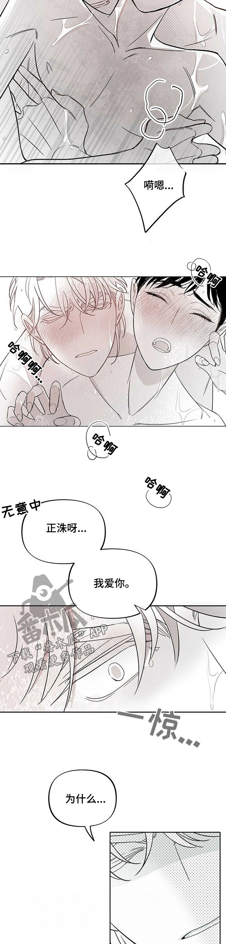 《身体效应》漫画最新章节第33章：真心话免费下拉式在线观看章节第【4】张图片