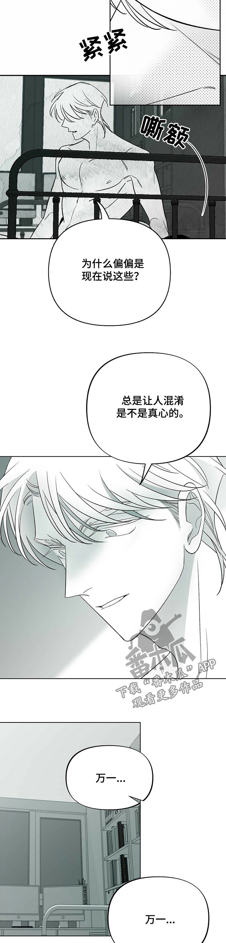 《身体效应》漫画最新章节第33章：真心话免费下拉式在线观看章节第【3】张图片