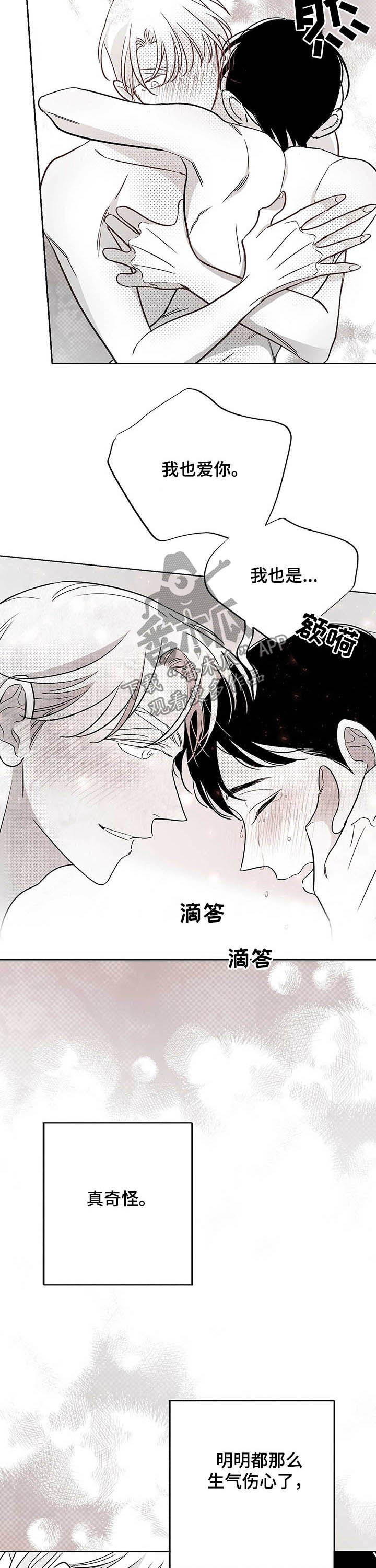 《身体效应》漫画最新章节第35章：都会解决免费下拉式在线观看章节第【11】张图片