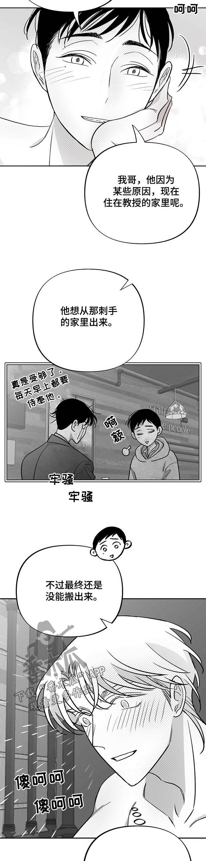 《身体效应》漫画最新章节第35章：都会解决免费下拉式在线观看章节第【6】张图片