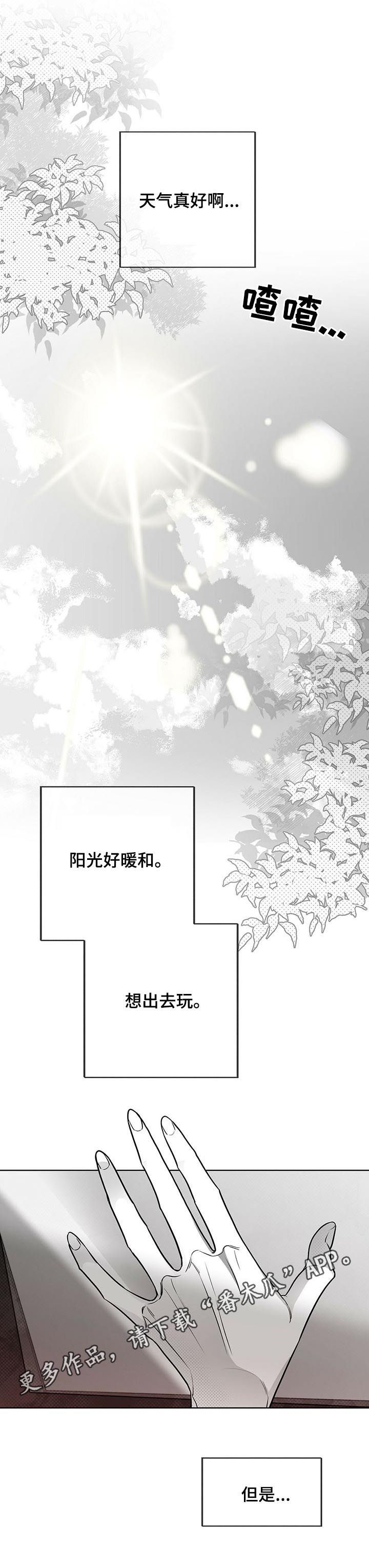 《身体效应》漫画最新章节第44章：美梦免费下拉式在线观看章节第【13】张图片