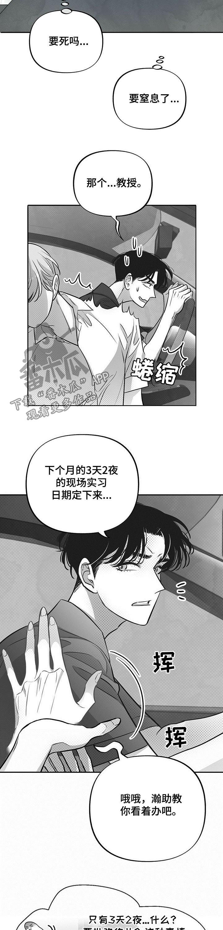 《身体效应》漫画最新章节第44章：美梦免费下拉式在线观看章节第【6】张图片