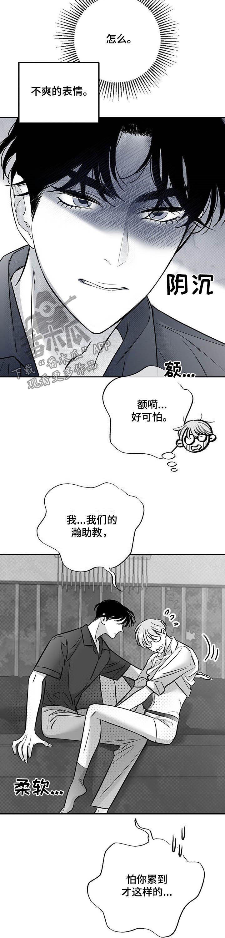 《身体效应》漫画最新章节第47章：狗崽子免费下拉式在线观看章节第【5】张图片