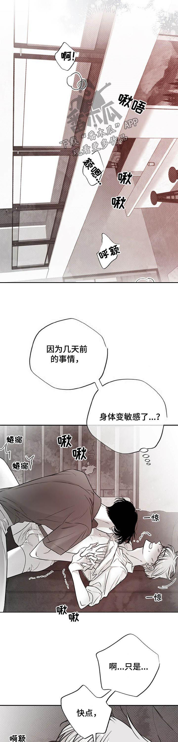 《身体效应》漫画最新章节第47章：狗崽子免费下拉式在线观看章节第【8】张图片